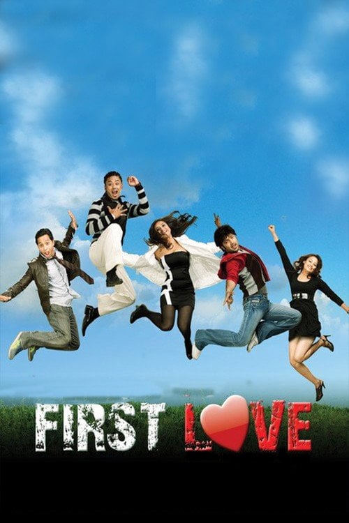 Movie poster for First Love (2010)