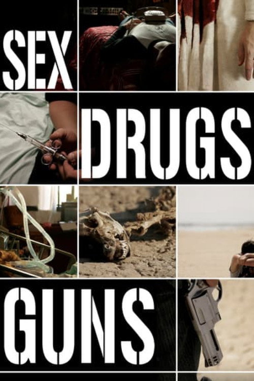 Movie poster for Sex Drugs Guns (2009)