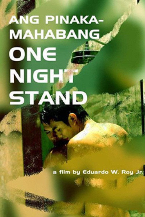 Movie poster for Ang Mga Pinakamahabang One Night Stand (2006)