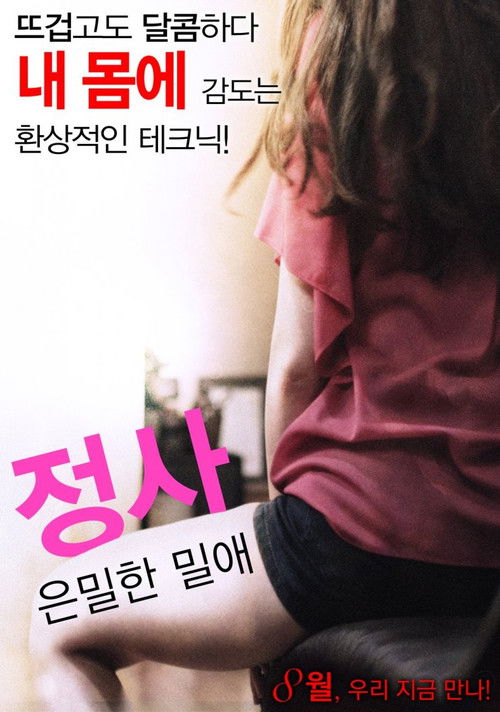 Movie poster for Love Affair: A Secret Affair (2016)
