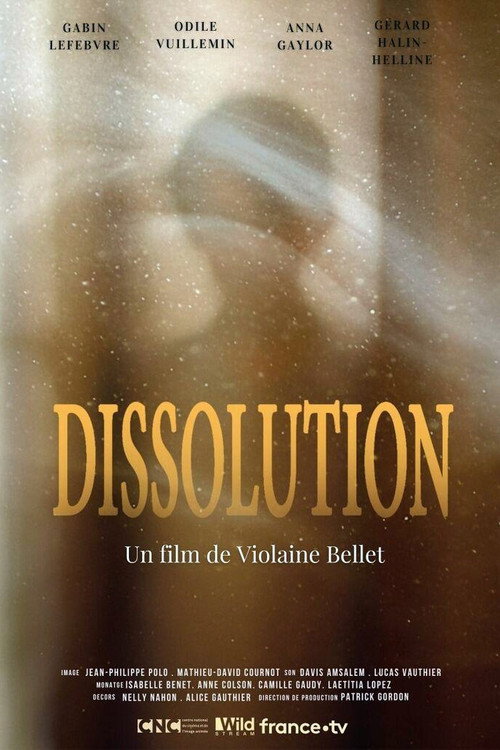 Movie poster for Dissolution (2020)