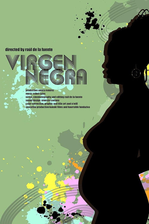 Movie poster for Virgen negra (2011)