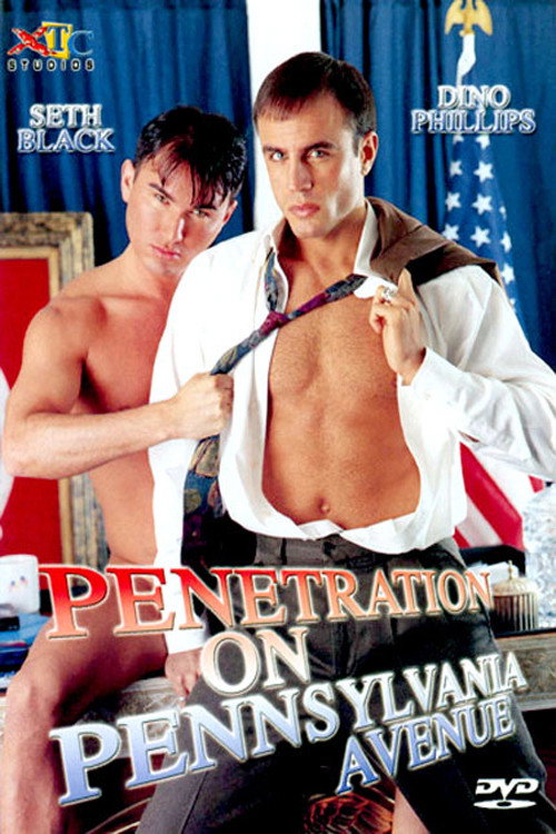 Movie poster for Penetration on Pennsylvania Avenue (1998)