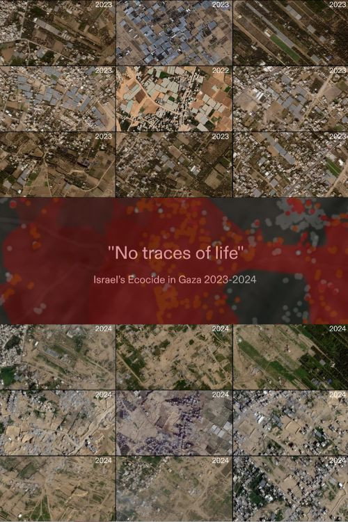 Movie poster for No Traces of Life (2024)