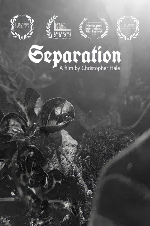 Movie poster for Separation (2022)