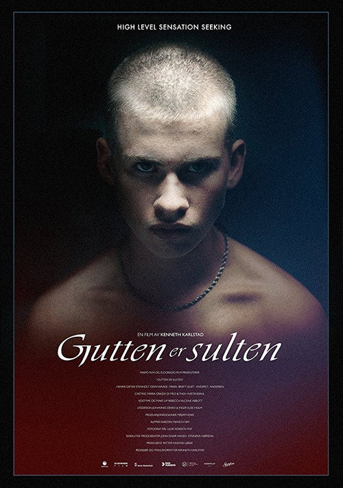 Movie poster for The Hunger (2017)