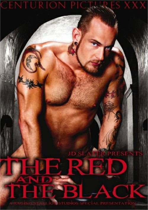 Movie poster for The Red and the Black (2005)