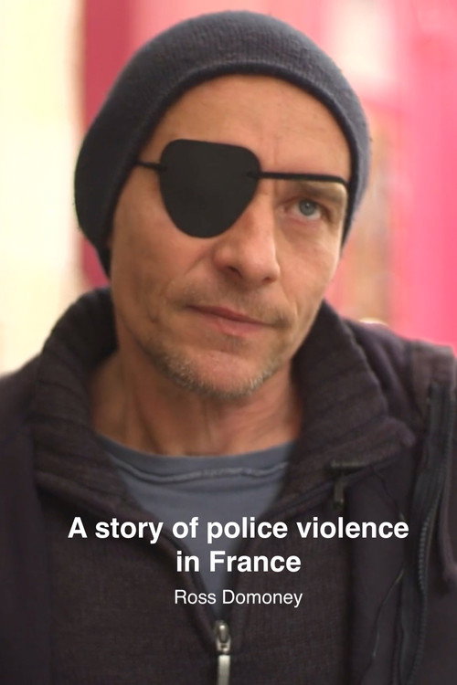 Movie poster for A story of police violence in France (2019)