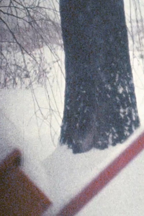 Movie poster for Thought (1971)