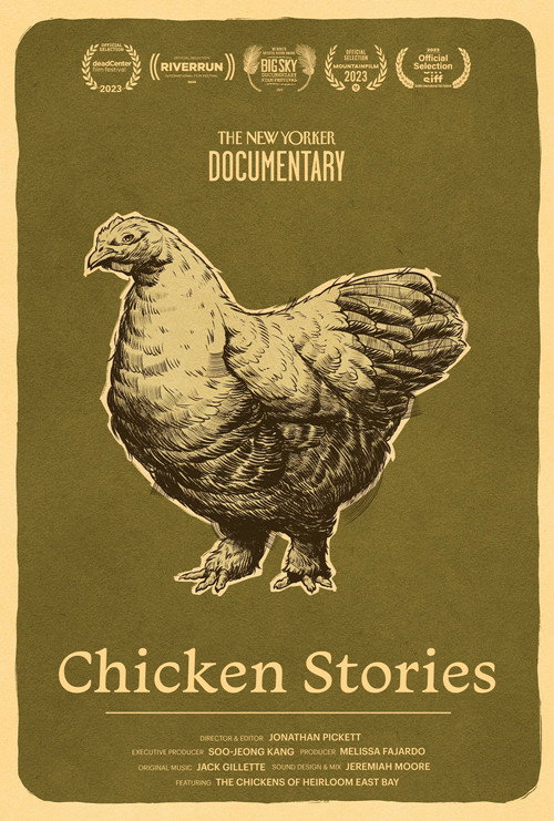Movie poster for Chicken Stories (2023)