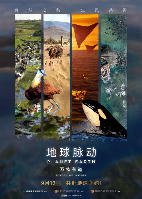 Movie poster for Planet Earth: Forces of Nature (2025)
