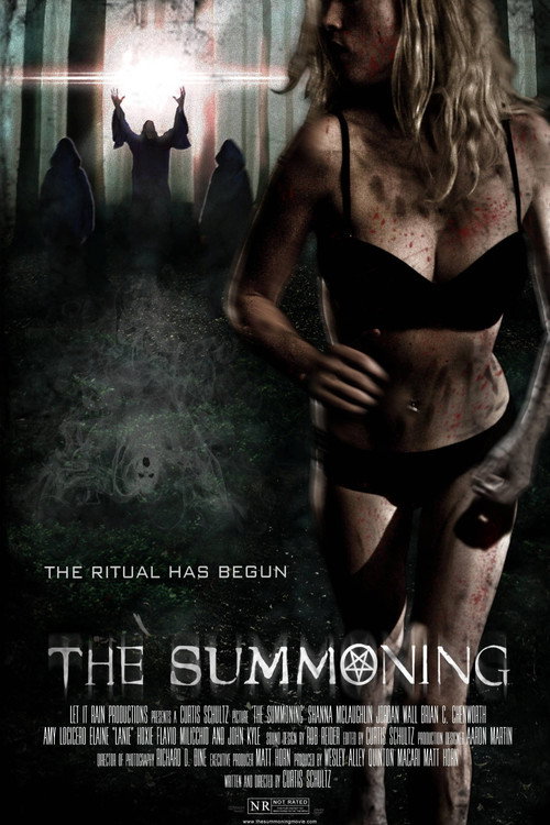 Movie poster for The Summoning (2014)