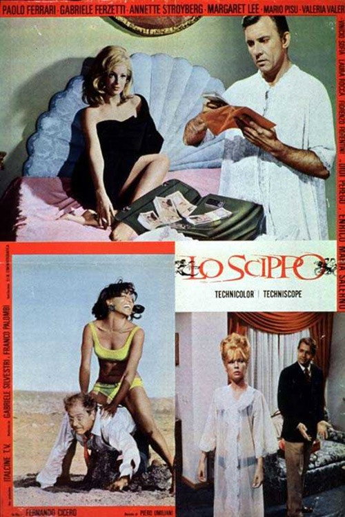 Movie poster for Lo scippo (1965)