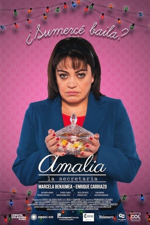 Movie poster for Amalia, la secretaria (2017)