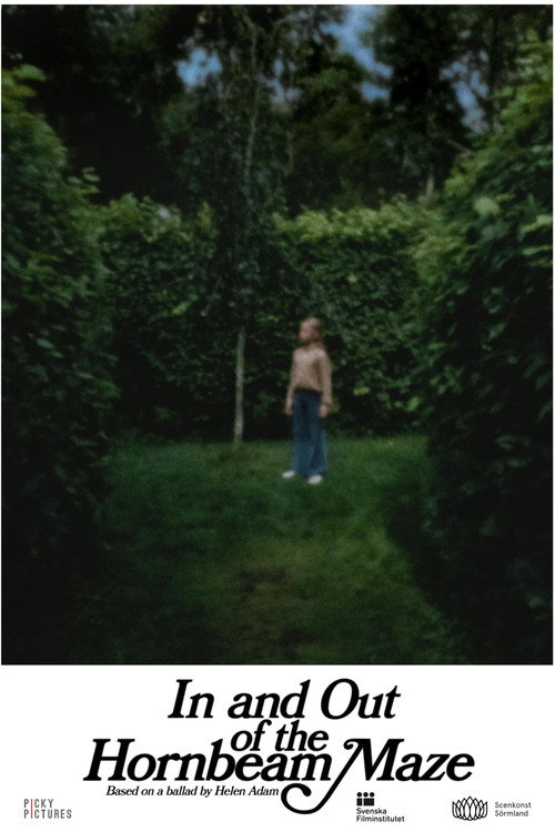 Movie poster for In and Out of the Hornbeam Maze (2025)