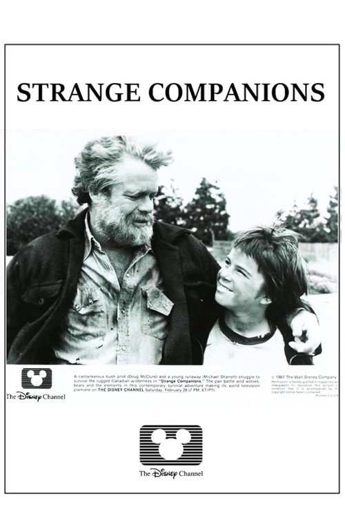 Movie poster for Strange Companions (1983)