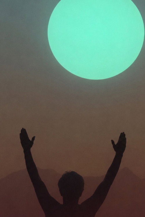 Movie poster for Organic (1975)