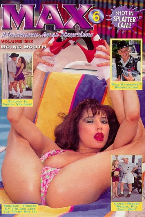 Movie poster for Max 6: Going South (1995)