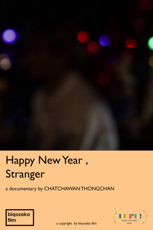 Movie poster for Happy New Year , Stranger (2025)