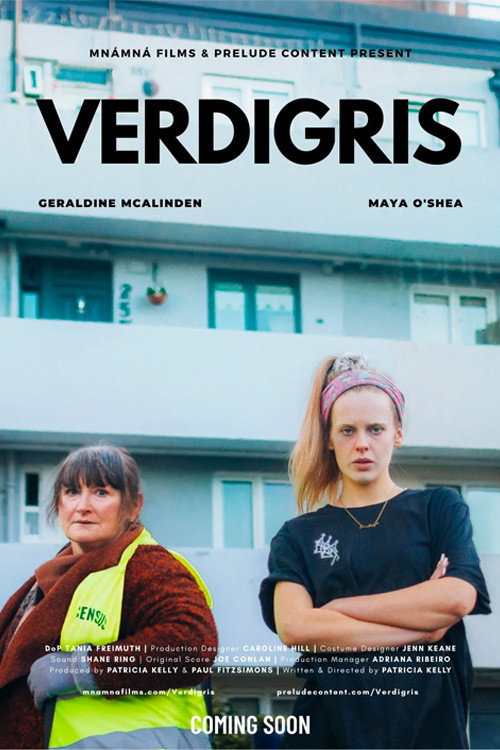 Movie poster for Verdigris (2023)