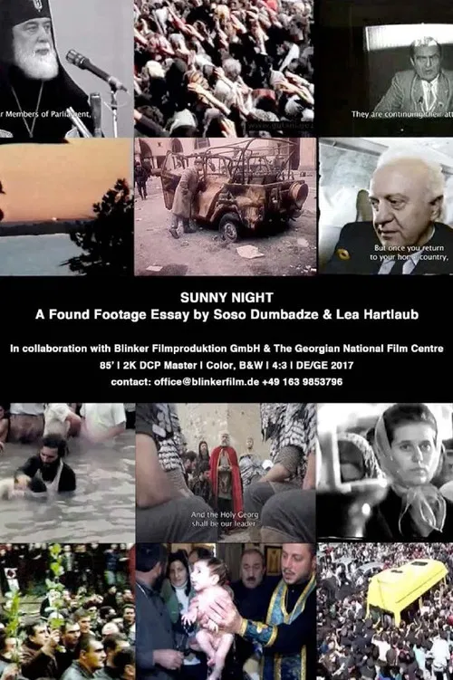 Movie poster for Sunny Night (2017)