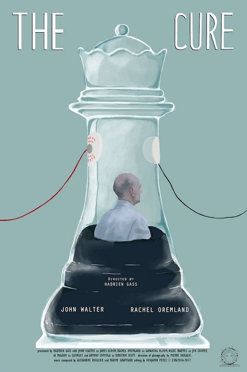Movie poster for The Cure (2017)