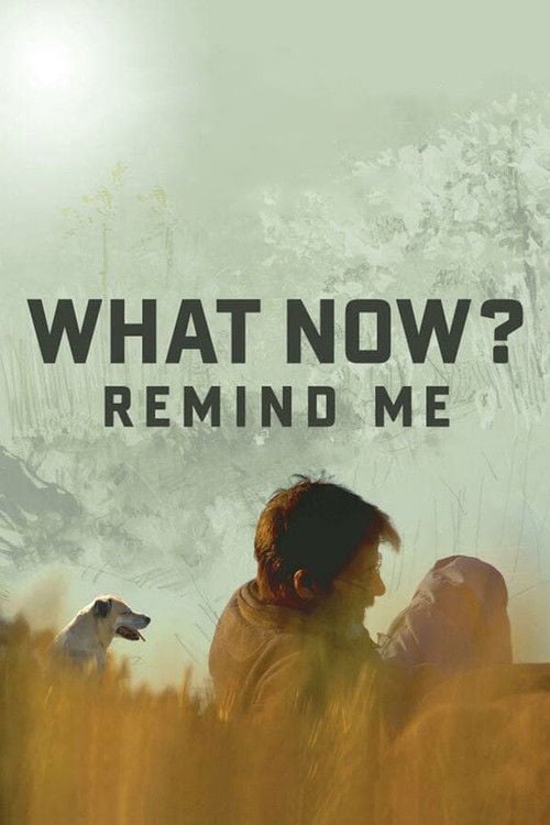 Movie poster for What Now? Remind Me (2014)