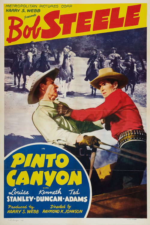 Movie poster for Pinto Canyon (1940)