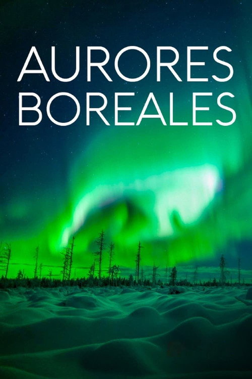Movie poster for Revontulien armoilla (2019)