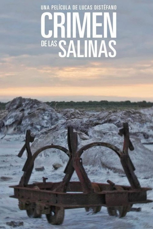 Movie poster for Crimen en las salinas (2016)