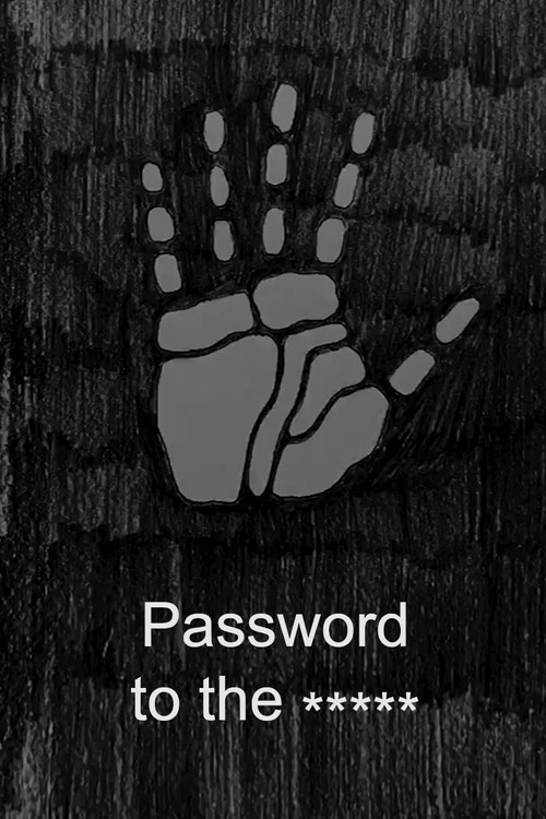 Movie poster for Password to the * * * * * (2021)