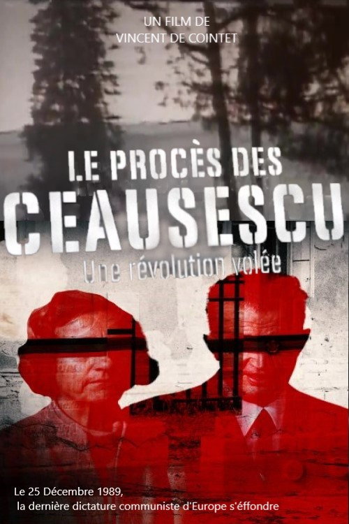 Movie poster for The Ceausescu Trial: A Stolen Revolution (2019)