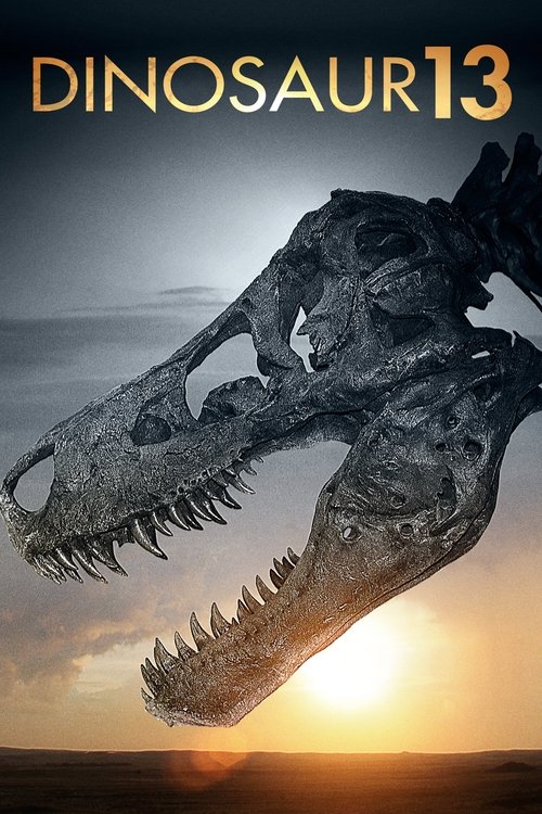 Movie poster for Dinosaur 13 (2014)