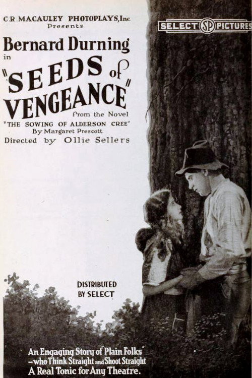 Movie poster for Seeds of Vengeance (1920)
