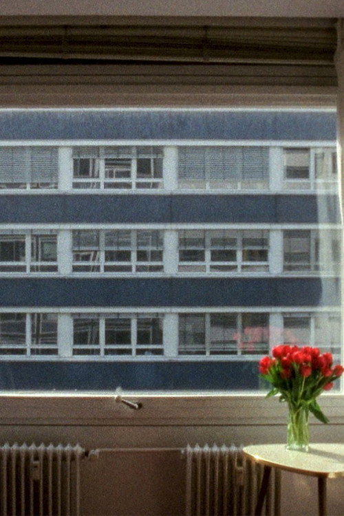 Movie poster for 21.3 °C (2014)