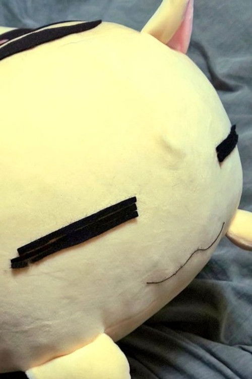 Oshika Kuromori profile