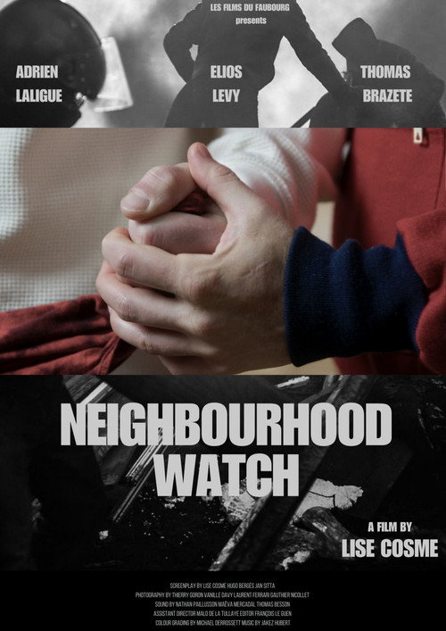 Movie poster for Neighbourhood Watch (2025)