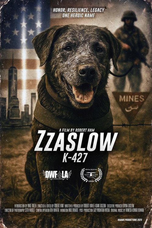 Movie poster for Zzaslow K-427 (2025)
