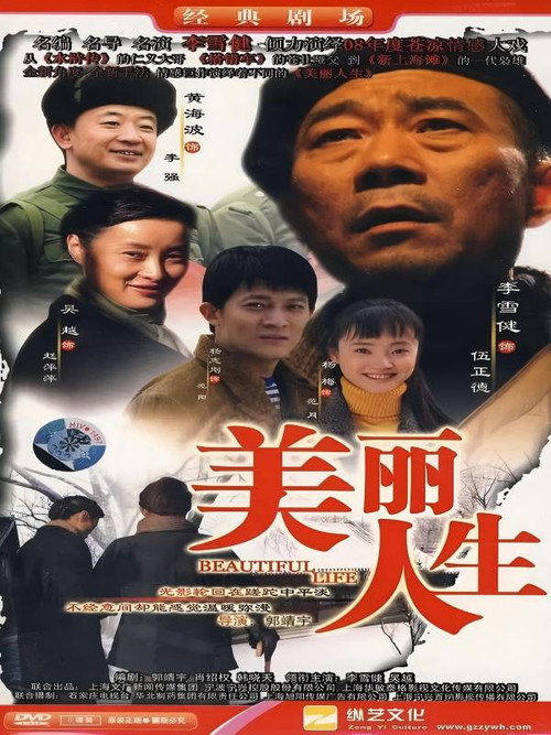 Series poster for 美丽人生 (2008)