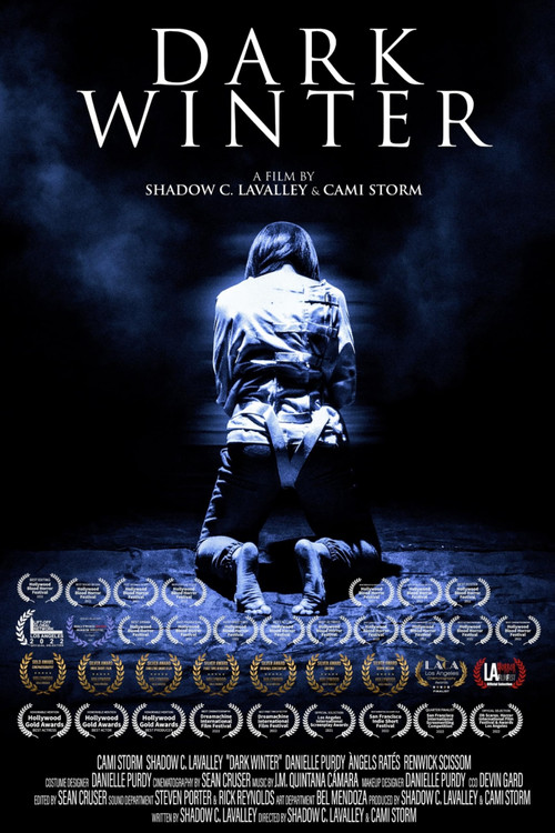 Movie poster for Dark Winter (2022)