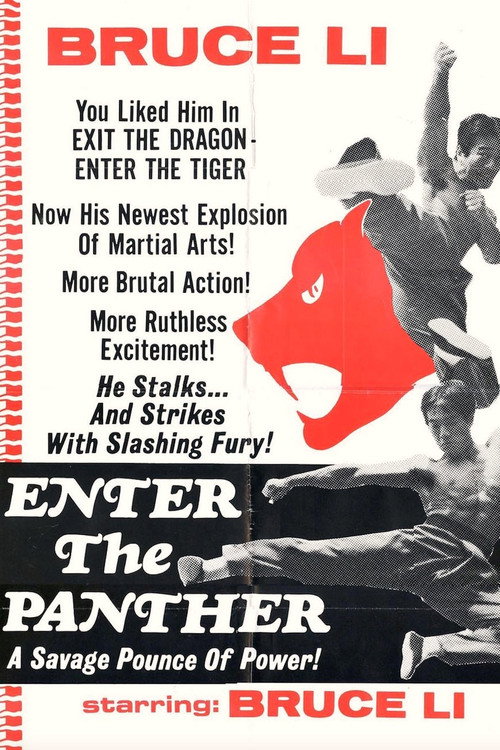 Movie poster for Enter the Panther (1975)