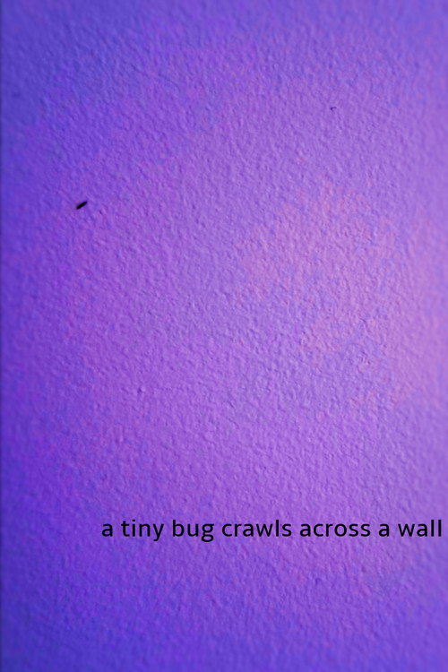 Movie poster for a tiny bug crawls across a wall (2024)