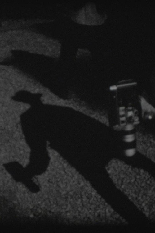 Movie poster for 8 shots