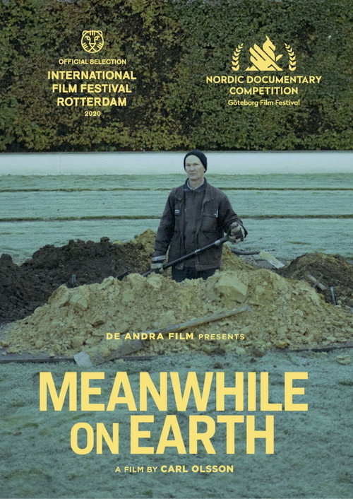 Movie poster for Meanwhile on Earth (2020)
