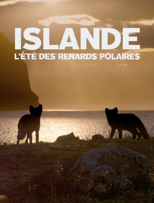 Movie poster for Islande, l’été Des Renards Polaires (2017)