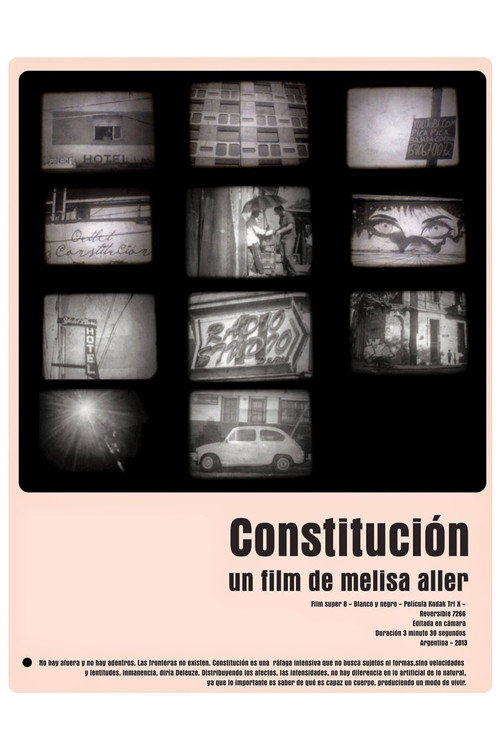 Movie poster for Constitution (2013)