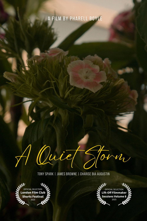 A Quiet Storm poster