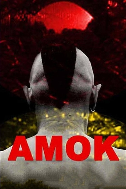 Movie poster for Amok (2011)