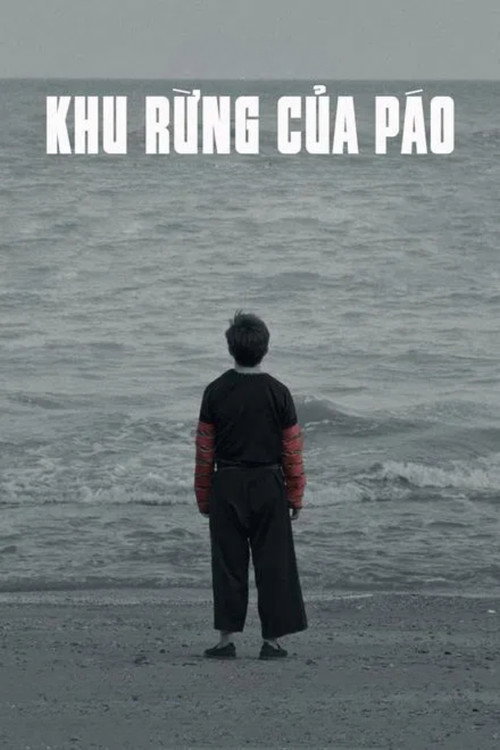 Movie poster for Pao's Forest (2022)
