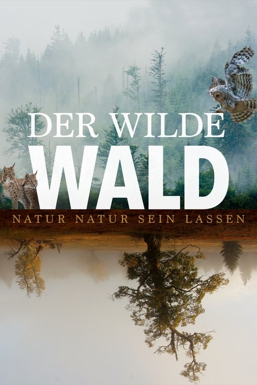 Movie poster for The Wild Forest (2021)